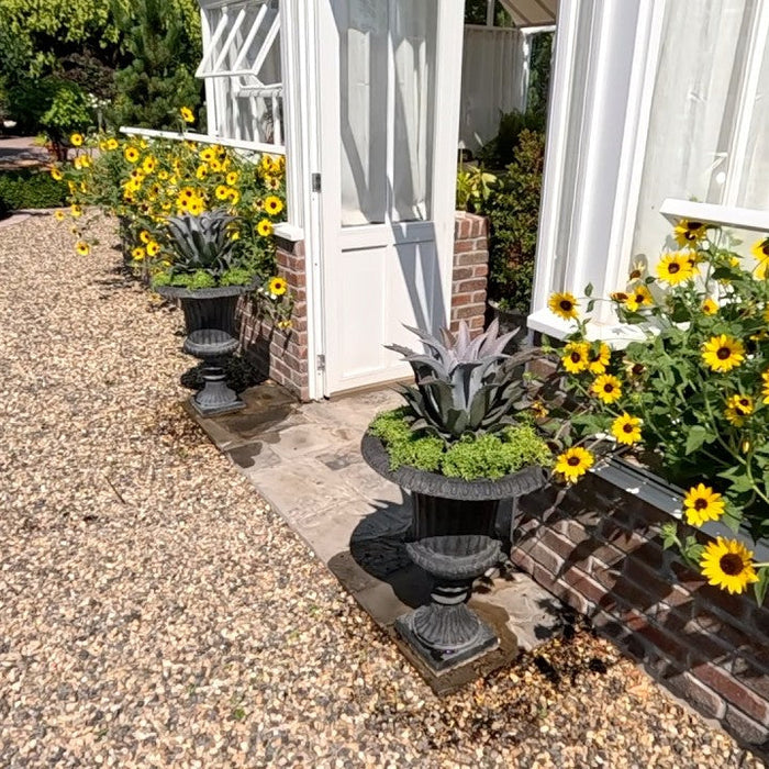 Garden Answer Blog