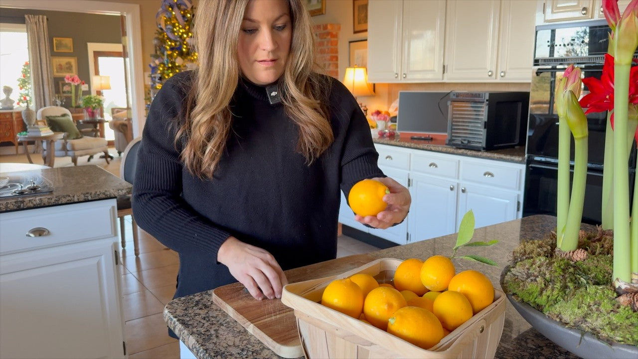 Lemon Harvest, Simple Fern Centerpiece & Surprising My Mom w/ Magnolia Wreaths!