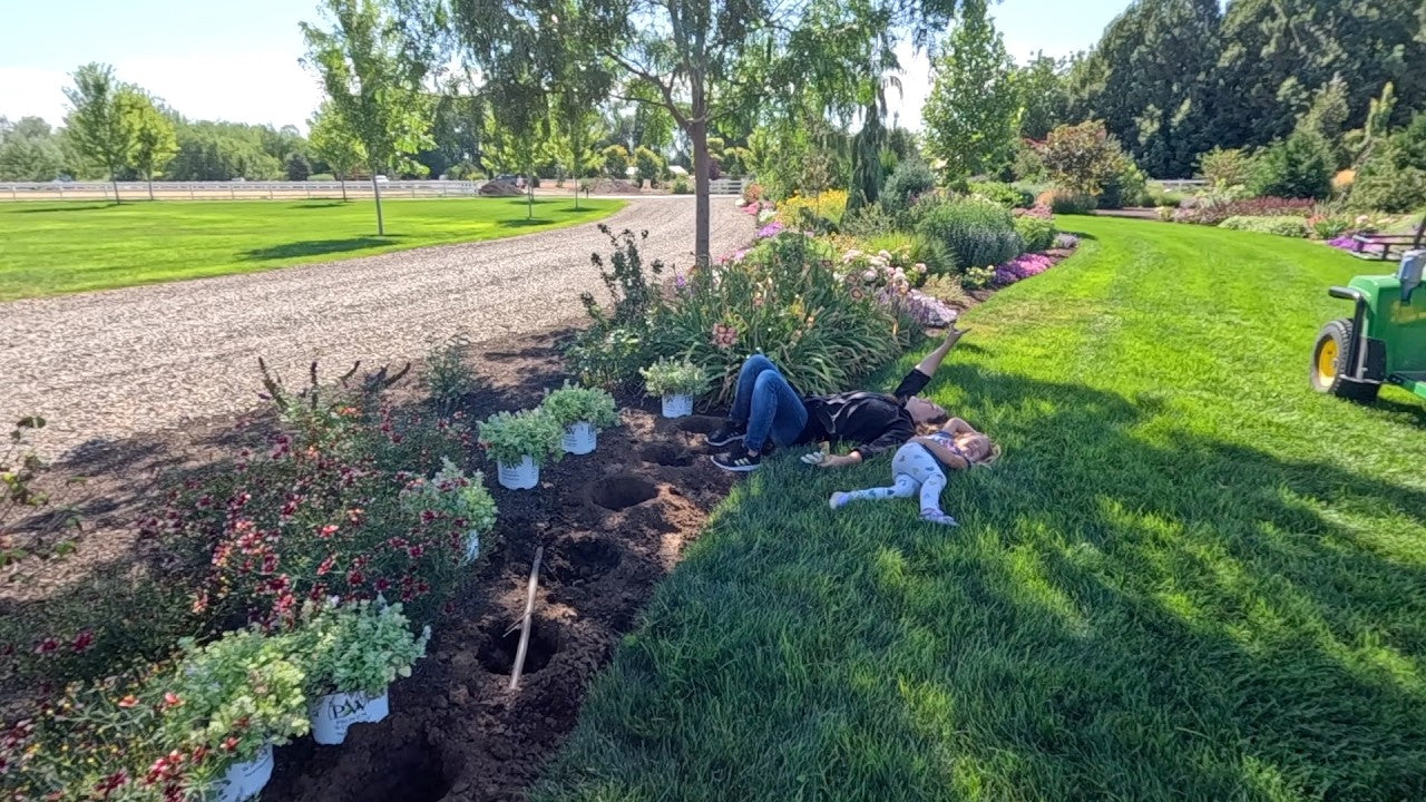 GA blog Harvesting
