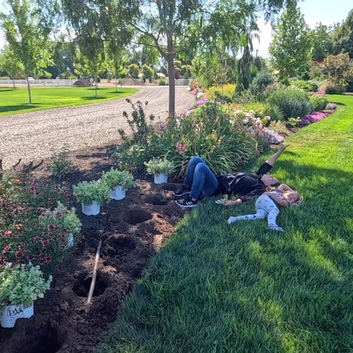 GA blog Harvesting
