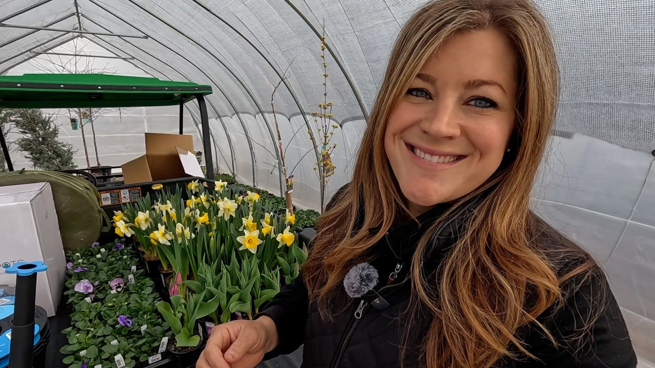 Planting 13 Simple, Sweet, Spring Containers & 3 Invincibelle Ruby Hydrangeas!