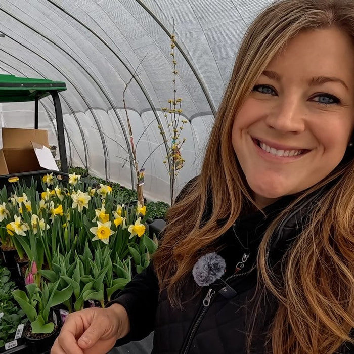 Planting 13 Simple, Sweet, Spring Containers & 3 Invincibelle Ruby Hydrangeas!
