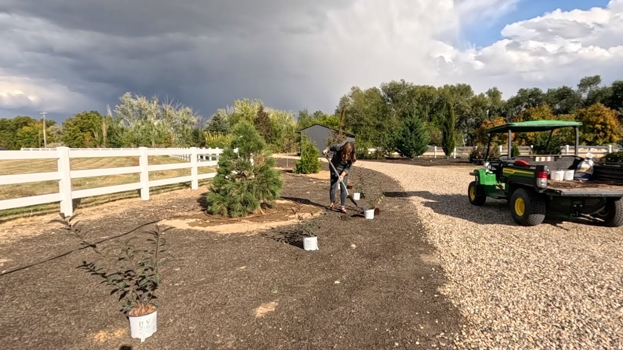 Laura working on the field and planting some trees