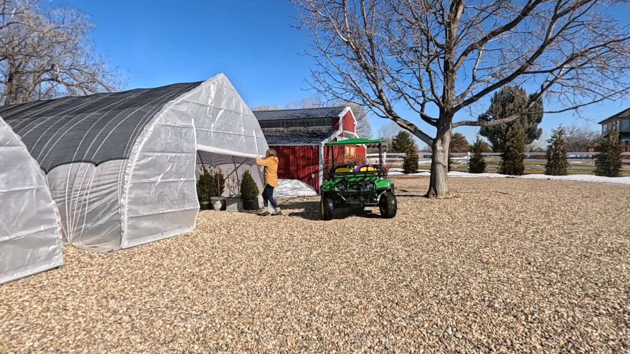 Pruning farm