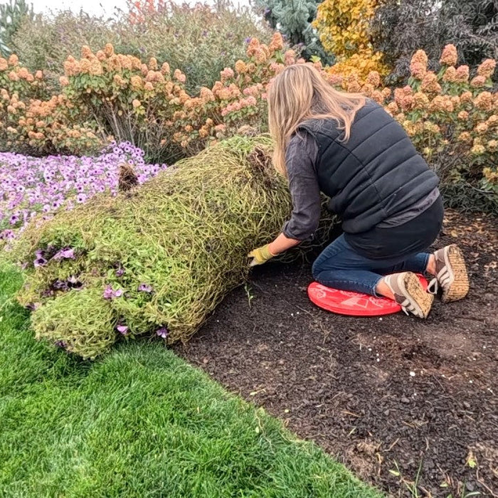 Laura planting in a garden on her knees