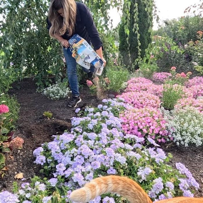 Blog Garden Answer