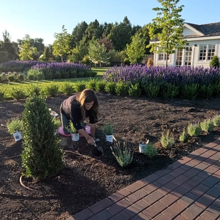 GA Blog Pruning