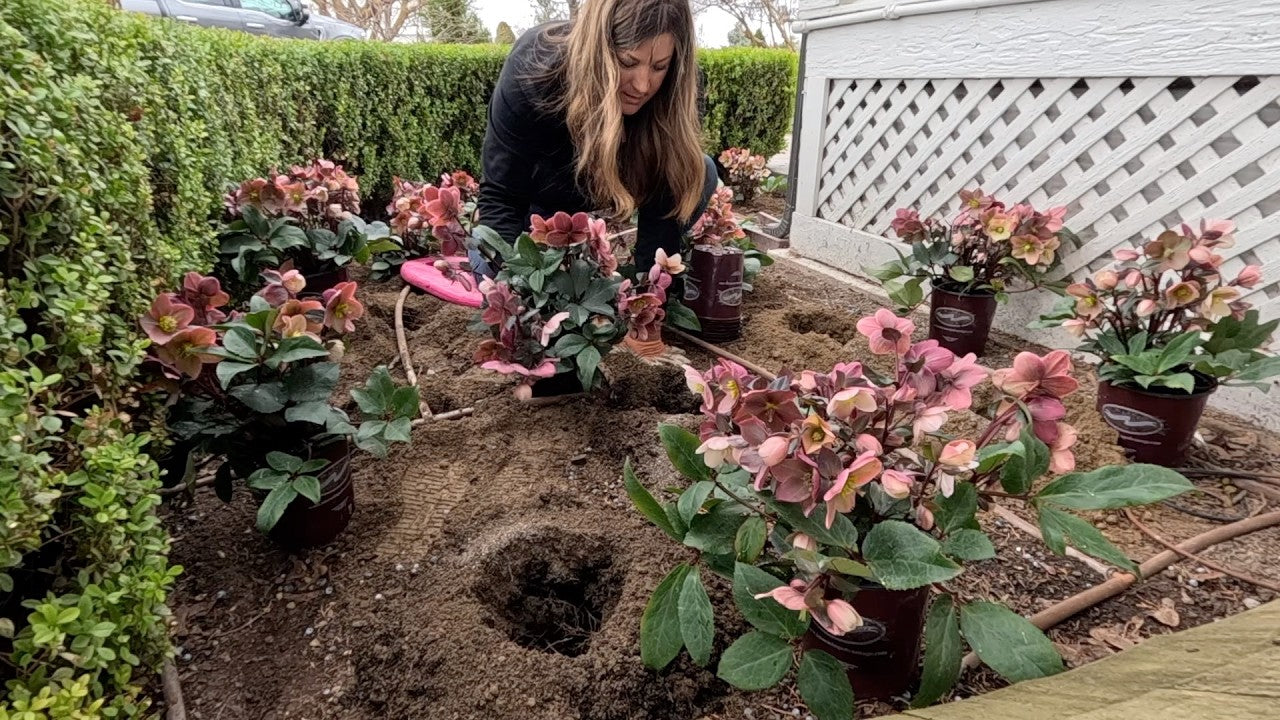Laura carefully working on her flowers