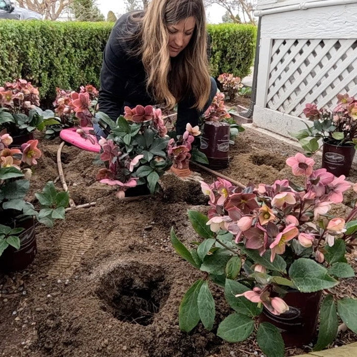 Laura carefully working on her flowers
