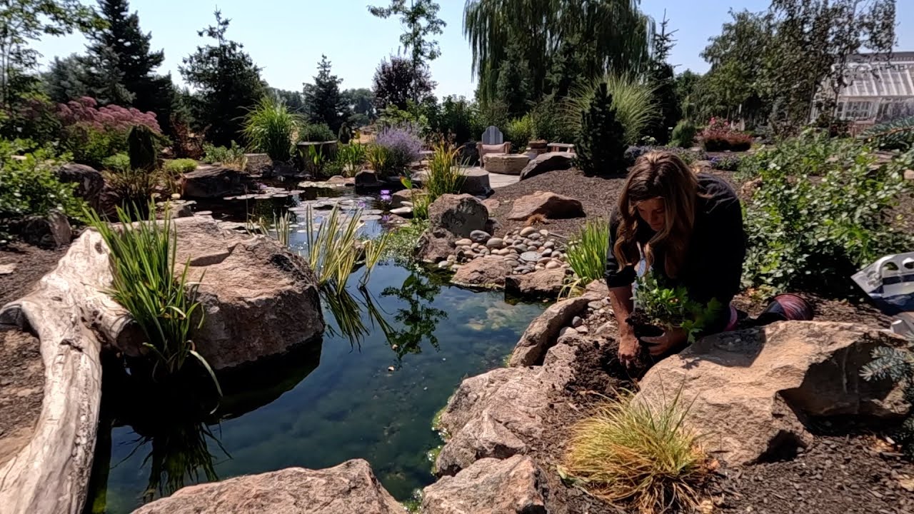 Planting By the Pond & Planting Beautiful Head Planters with Ferns!