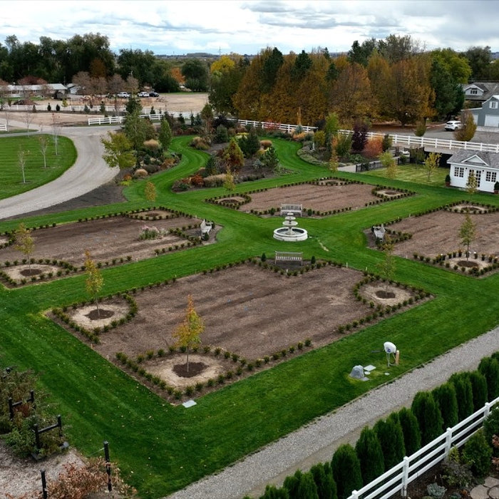 Planting 500 Boxwoods in the Formal Flower Garden