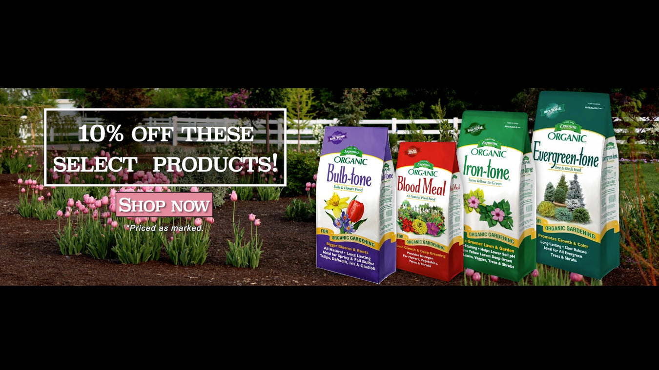 10% off these select  products!