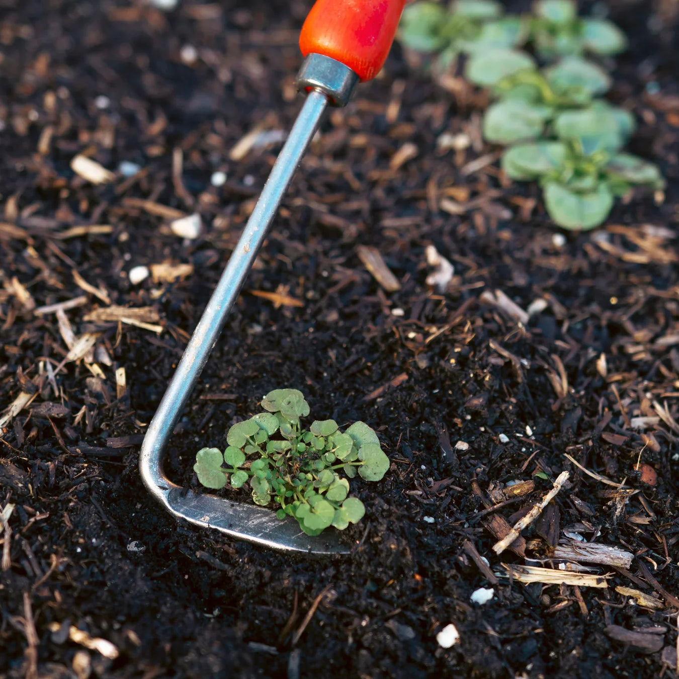 Yard Tools