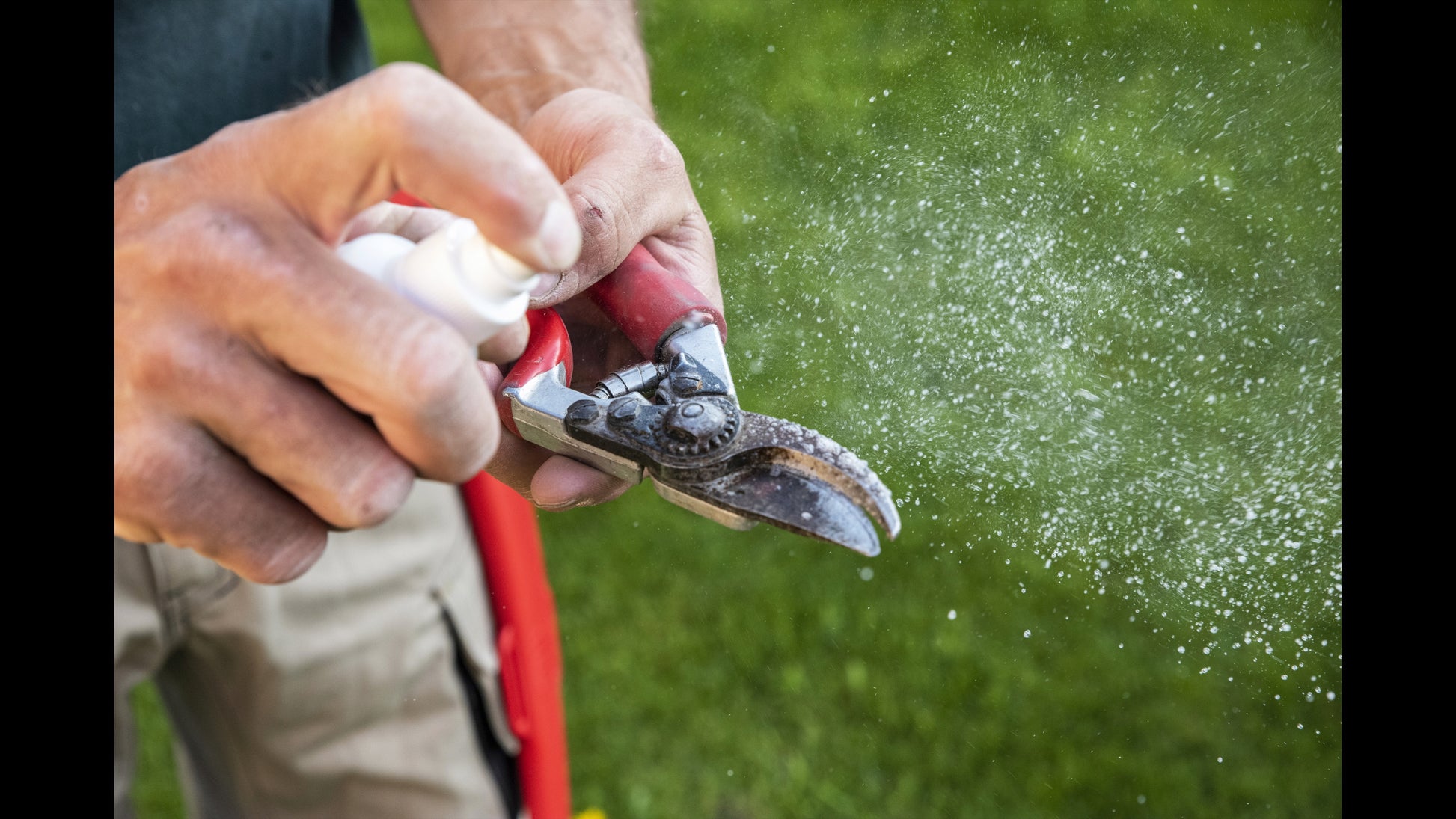 FELCO 981 Resin Remover Spray – Garden Answer