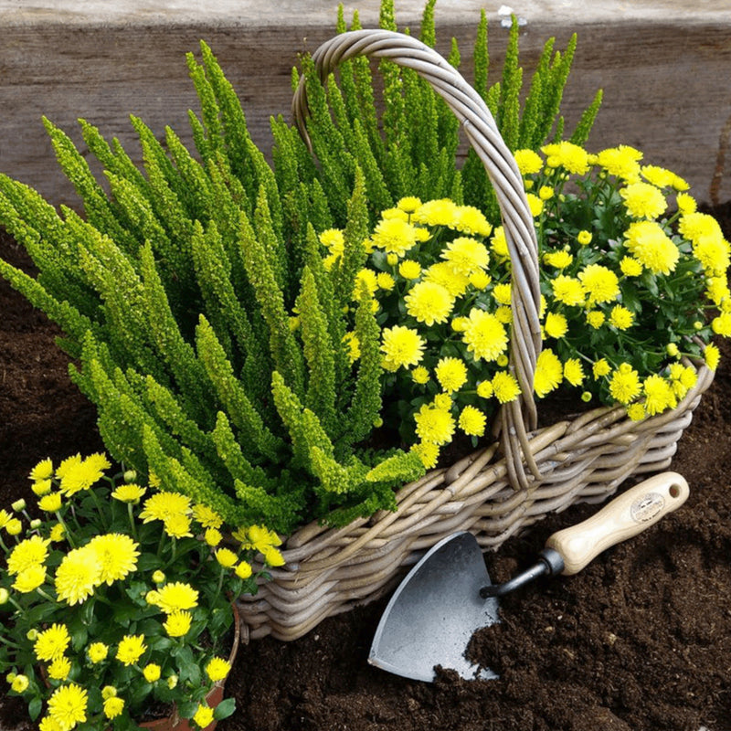 DeWit Potting Trowel