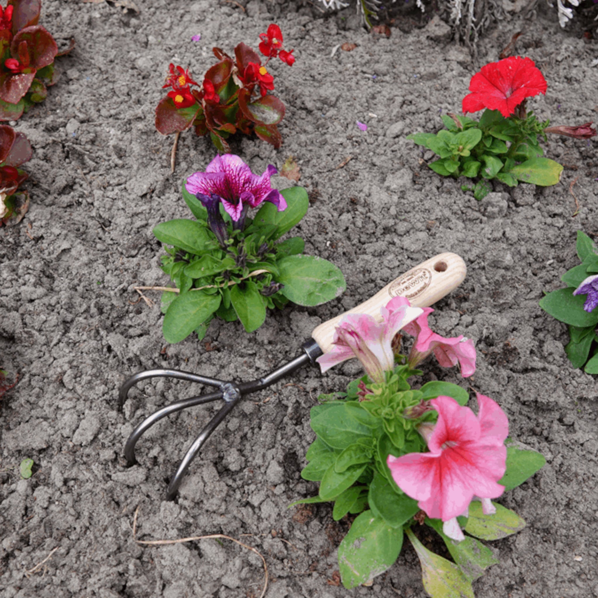 DeWit Short Handle 3-Tine Cultivator – Garden Answer