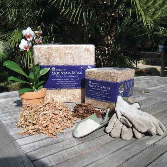 SuperMoss Premium Orchid Sphagnum