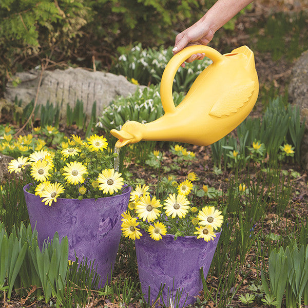 Lucky The Duck Watering Can (1 Gallon)