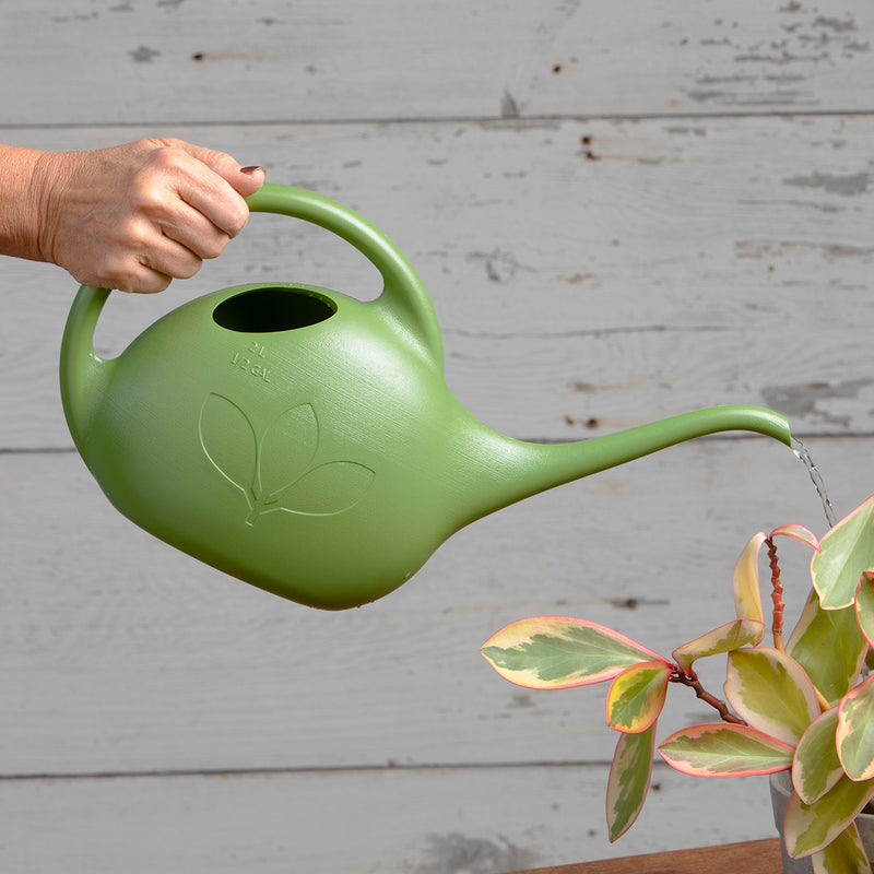 Novelty Indoor Watering Can (1/2 Gallon)