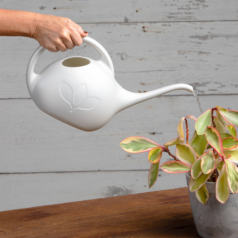 Novelty Indoor Watering Can (1/2 Gallon)
