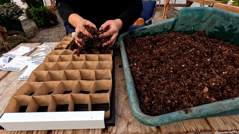 paper pot planter for sale 50 Cell Paper Pots (12x24")
