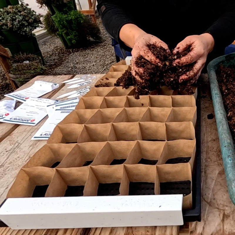 plant pot clips Paper Pot Opening Clips (Pair)