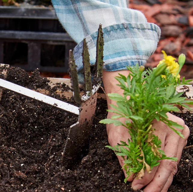 Premium Hoe/Cultivator