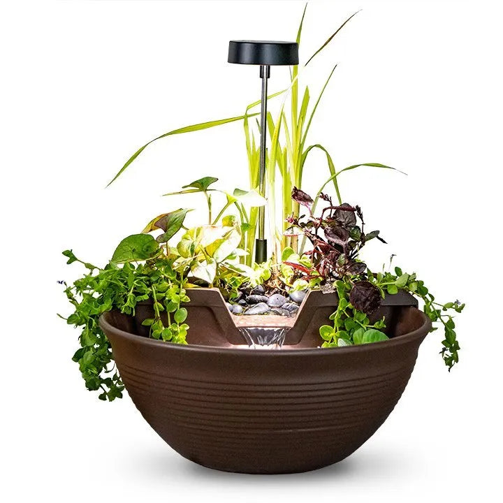 tabletop indoor plants AquaGarden Mocha Tabletop Fountain Kit