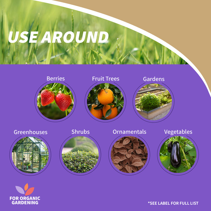 Captain Jack’s Bug & Slug Killer 1.5 lb