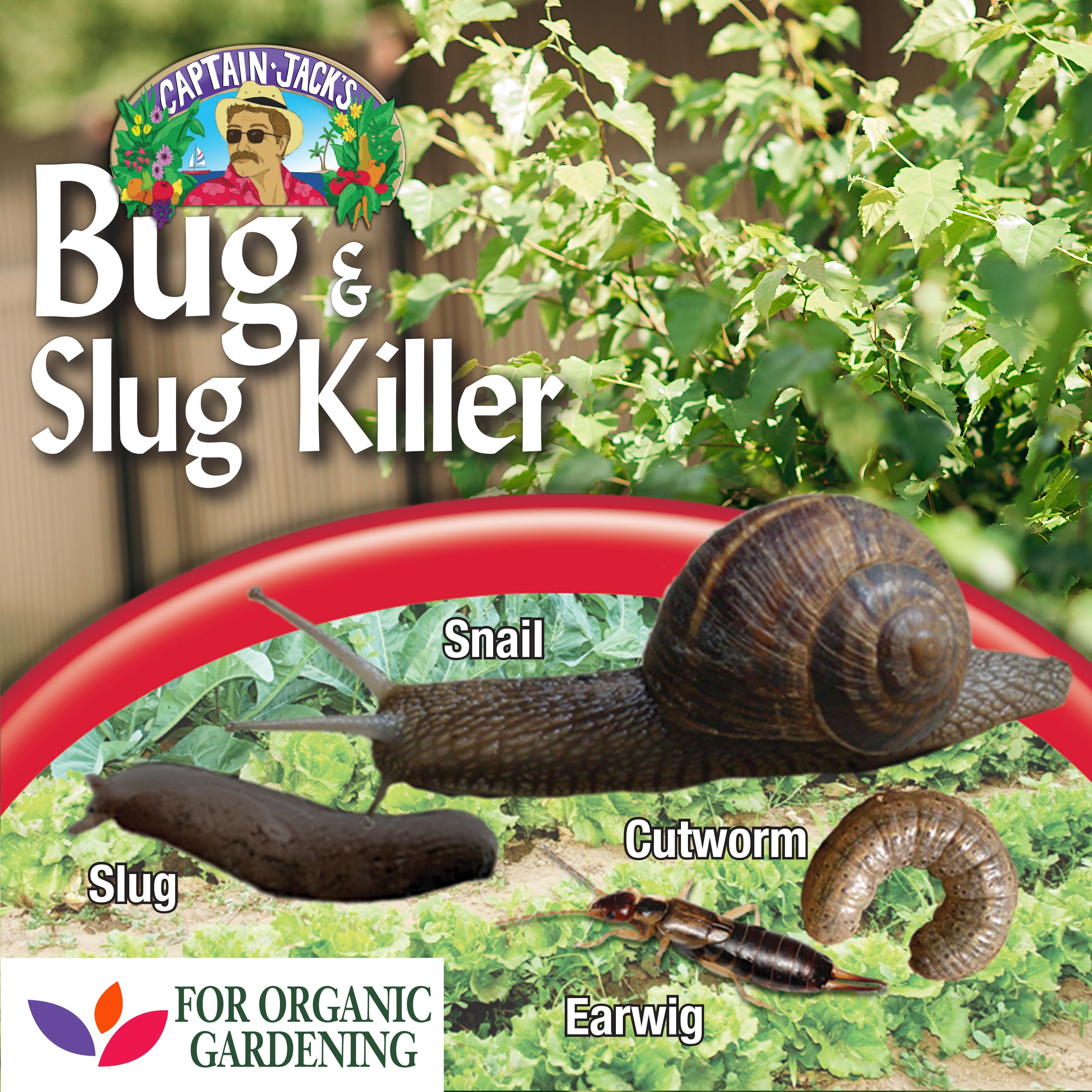 Captain Jack’s Bug & Slug Killer - Thumbnail 2