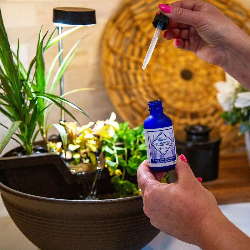 Tabletop Fountain Kit & Maintenance 4-in-1