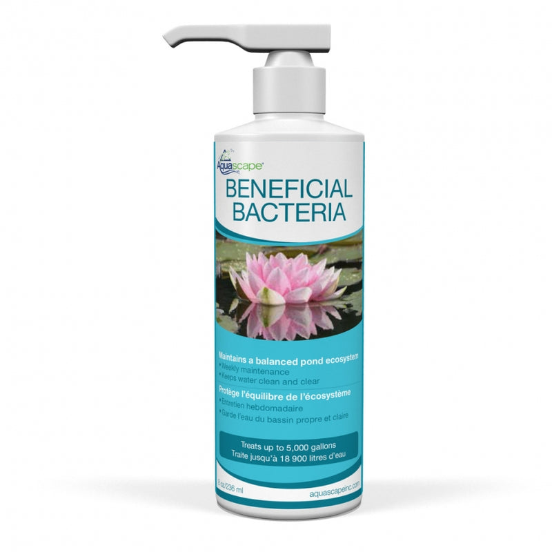 Beneficial Bacteria