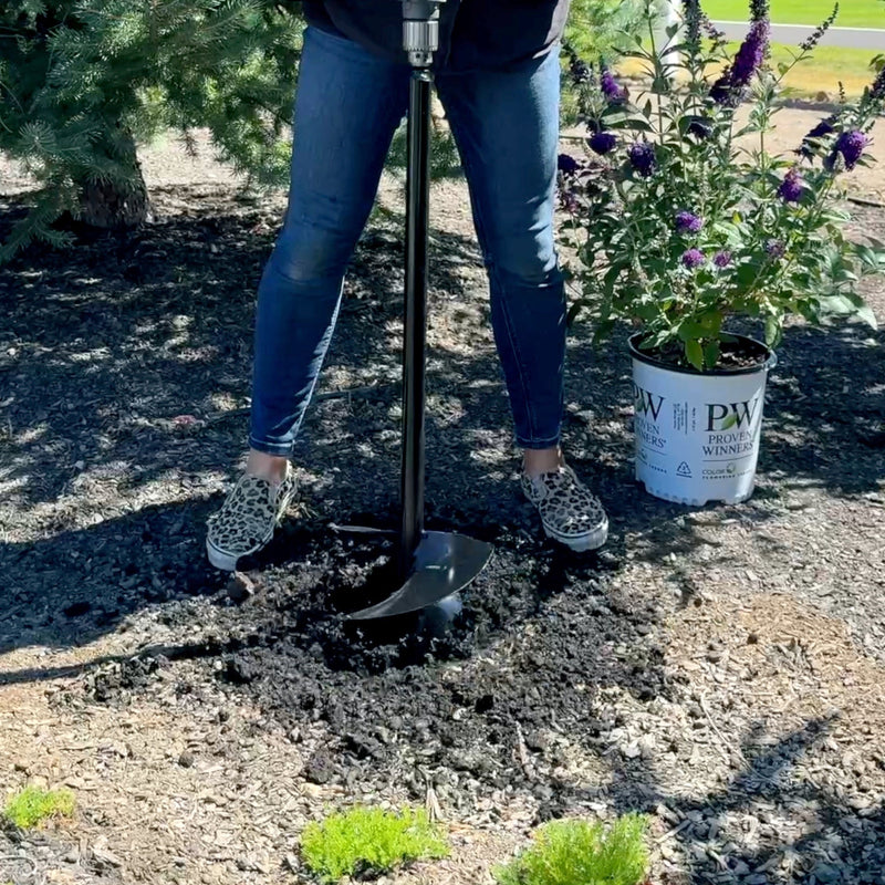 Laura digging a hole with a 9in auger and planting a bush