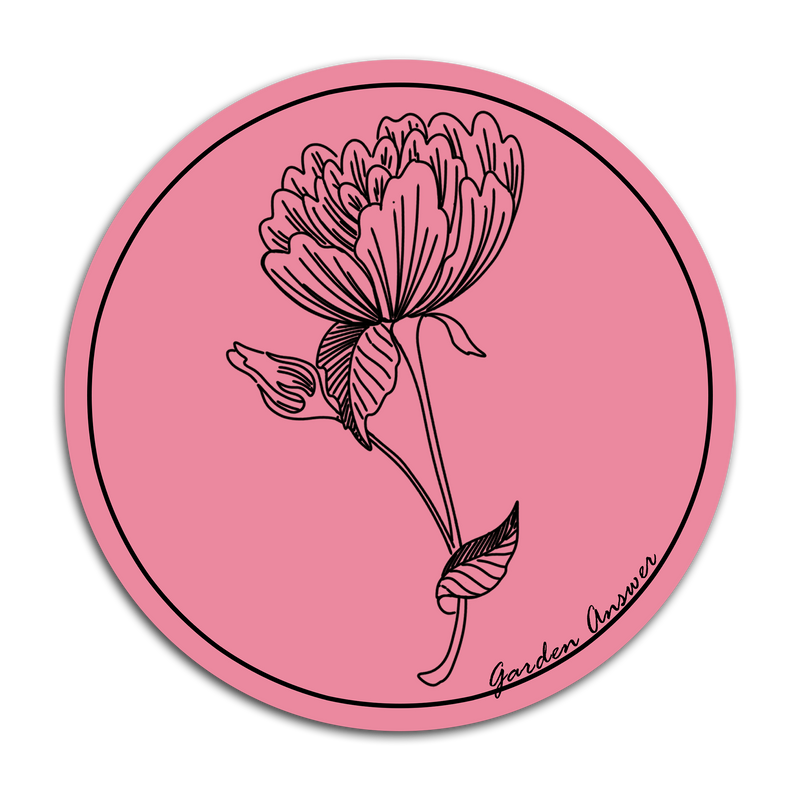 Rose Circle Sticker - Pink