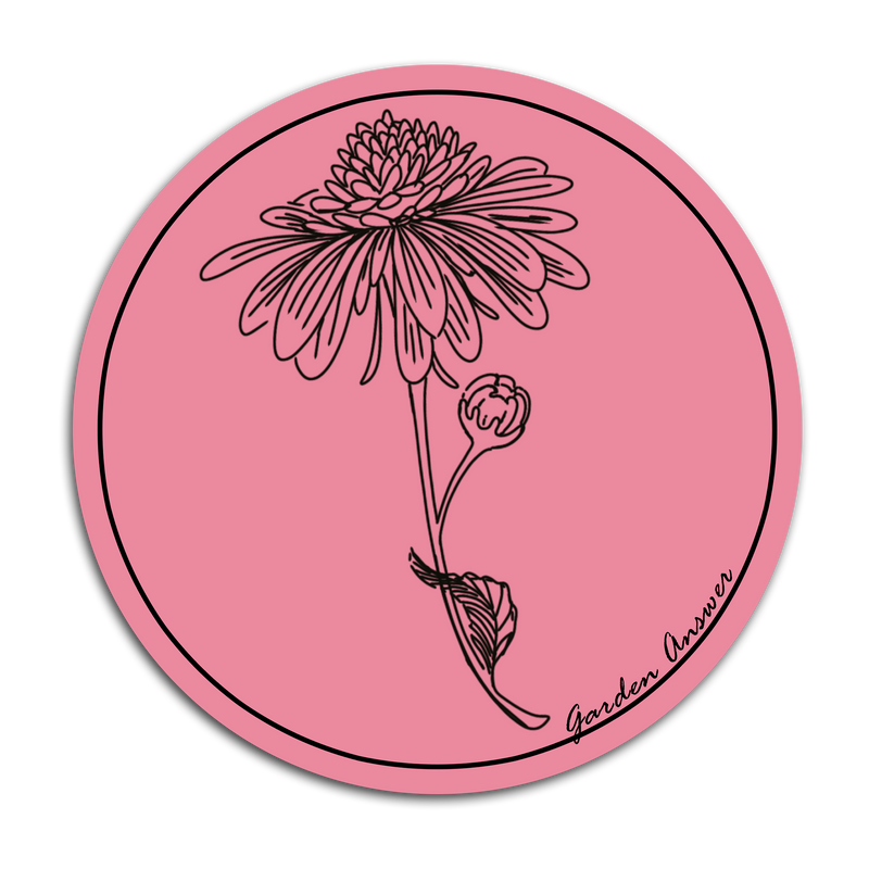Echinacea Circle Sticker - Pink