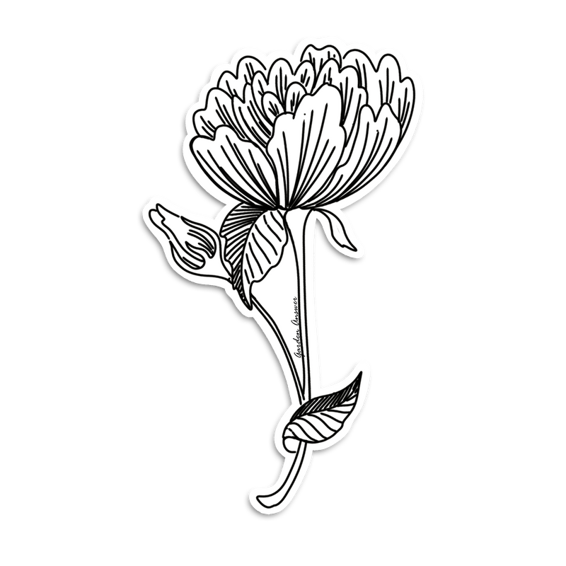 Rose Sticker - Black and White