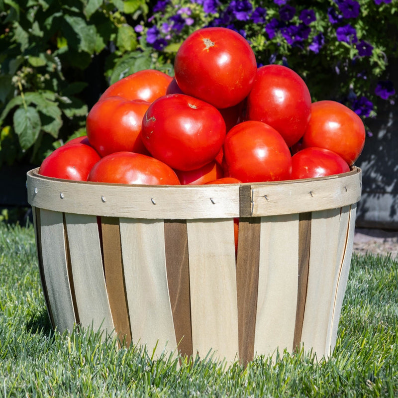 Large Baskets (Set of 2)