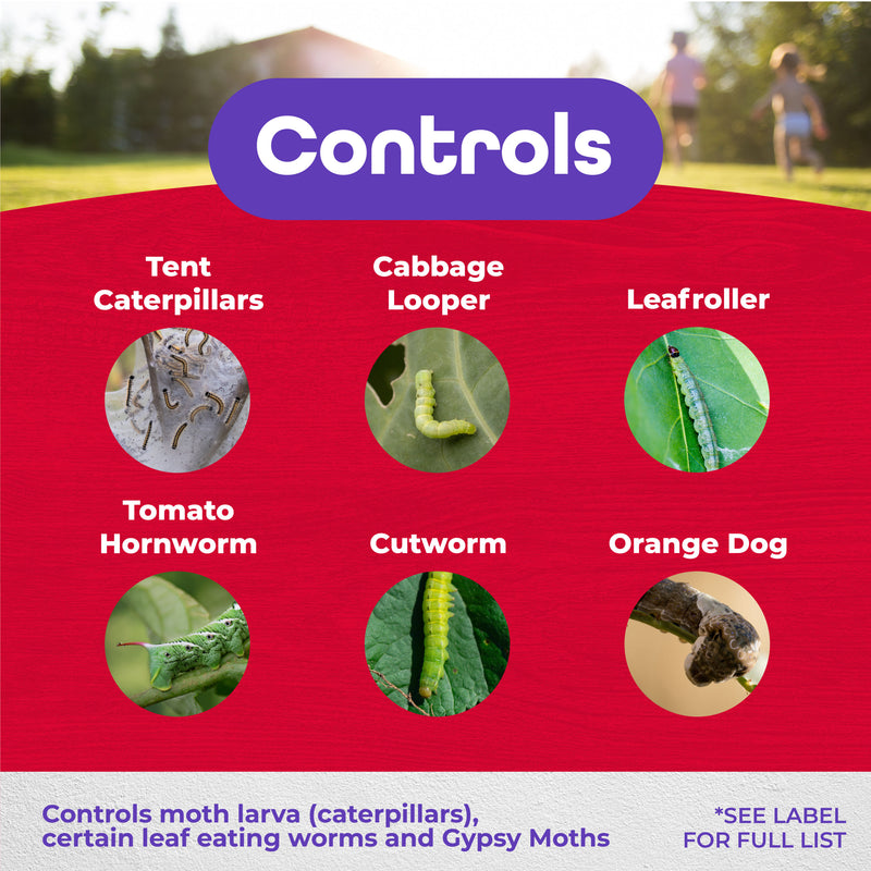 Page that tells you what the thuricide controls