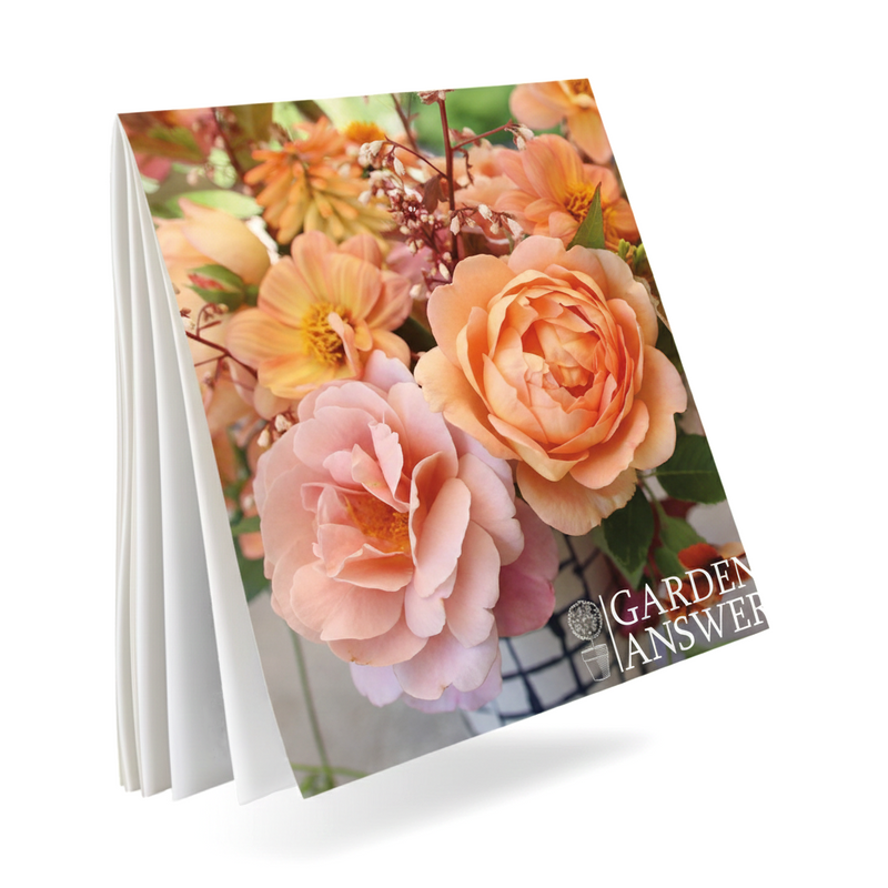 Garden Answer Calendar 2026