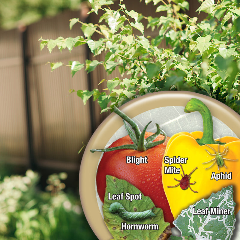 Captain Jack's 3-in-1 Tomato & Vegetable Spray RTU 32 oz