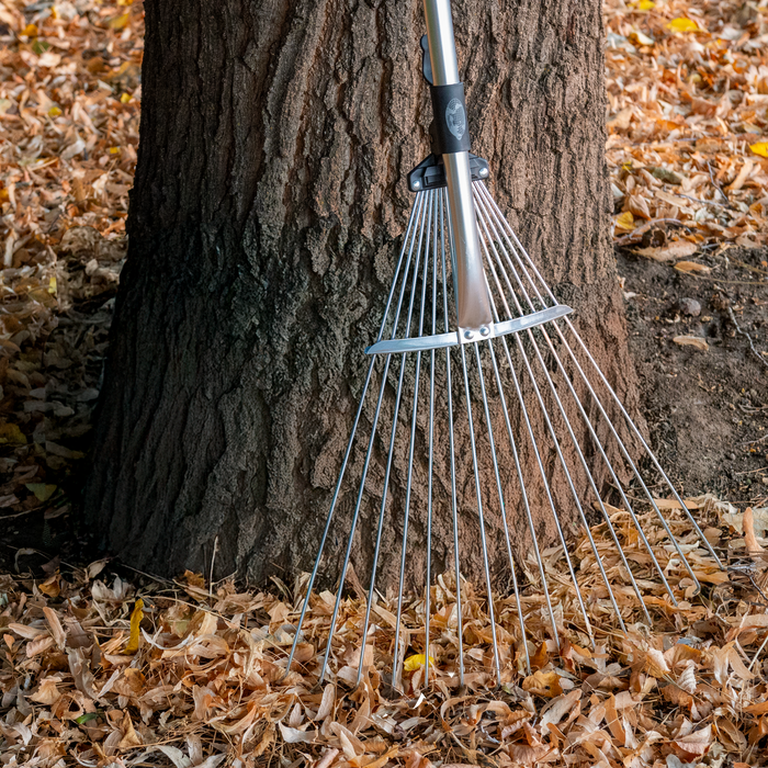 An Adjustable Steel Rake leans against the trunk of a tree, surrounded by dry fallen leaves on the ground.