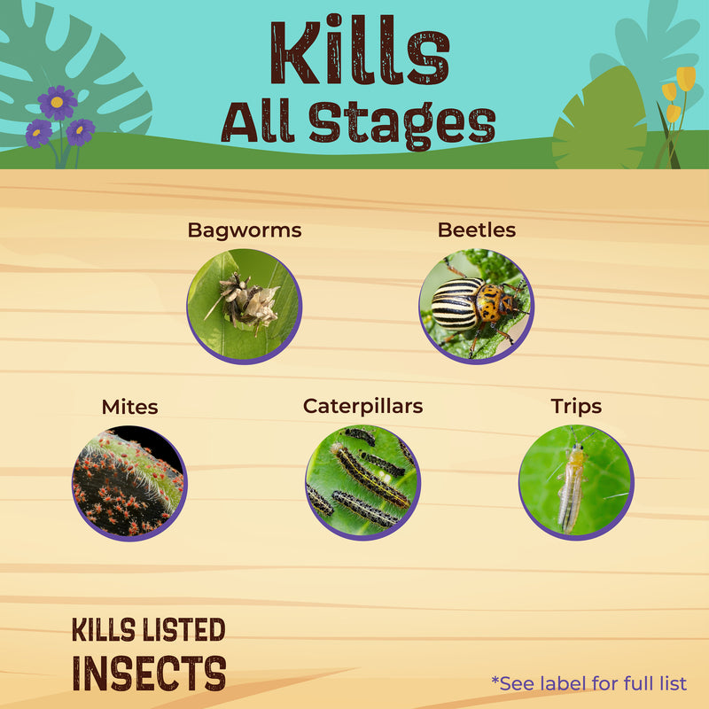 Insecticide product label showing images of insects and text 'Kills All Stages' on a wooden surface with nature background.
