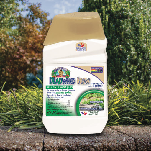 Container of Deadweed Brew on a stone surface with garden background