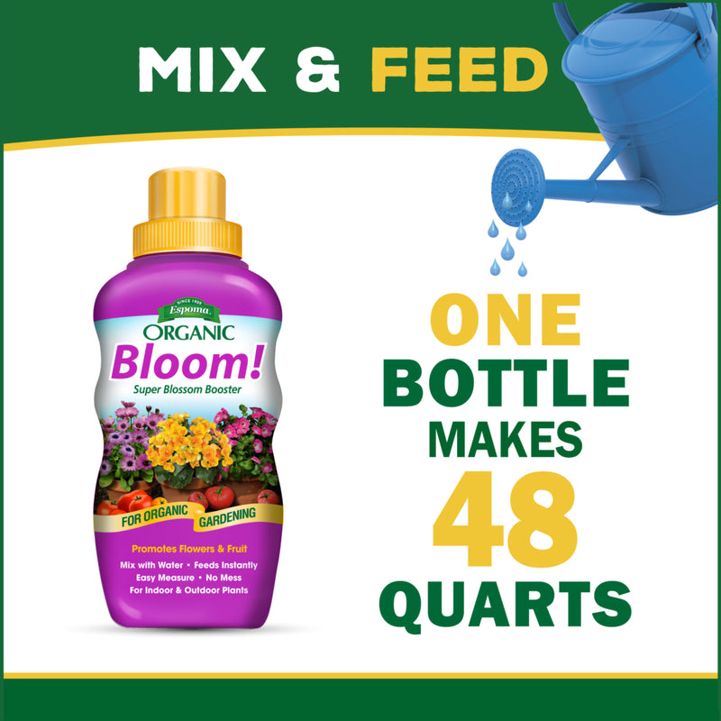 Bloom! 16oz