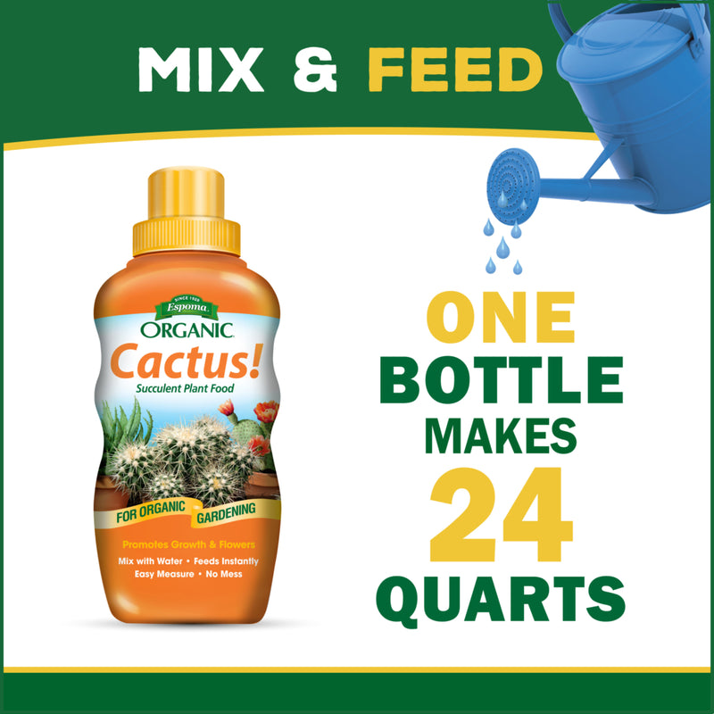 plant food for cacti and succulents Espoma 8 oz Organic Cactus Plant Food