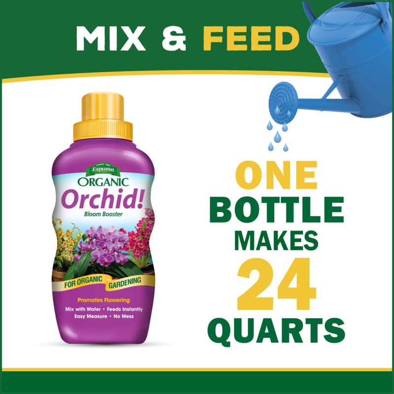 Orchid! 8oz