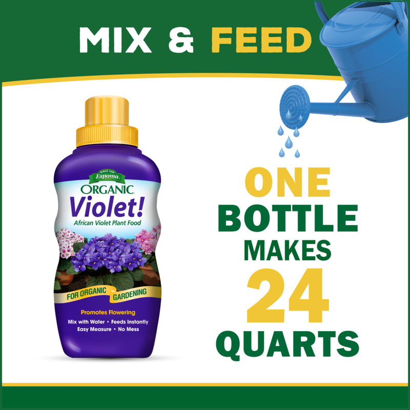 Violet Plant Food! 8oz