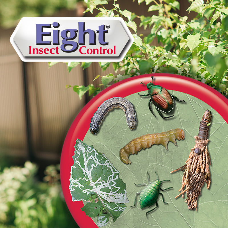 bonide eight yard & garden liquid insect killer Bonide