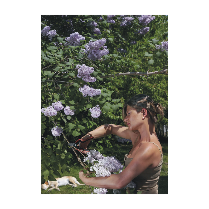 Felco 160s Pruning Shears