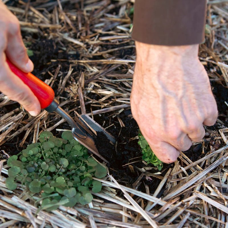 Felco 441 Root Trowel